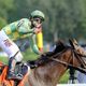 Image for article titled The Best Horses Of 2015